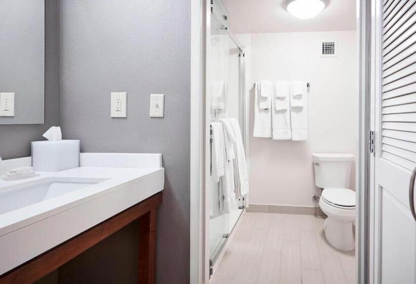 キングサイズベッドのスタンダードルーム, Courtyard Cincinnati Airport South/florence