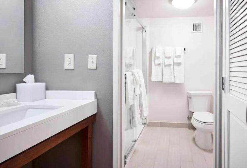 ２ダブルベッドのスタンダードルーム, Courtyard Cincinnati Airport South/florence