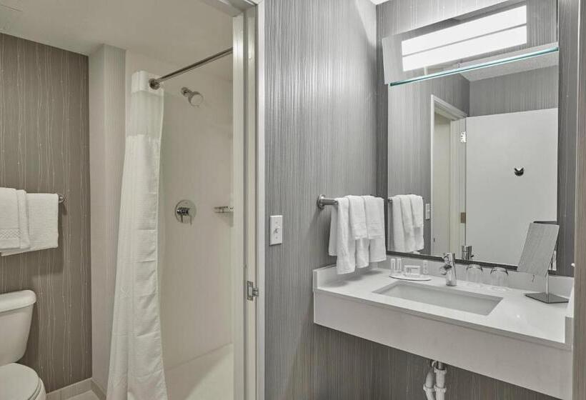 스탠다드 룸 킹사이즈 침대, Courtyard By Marriott Eugene Springfield