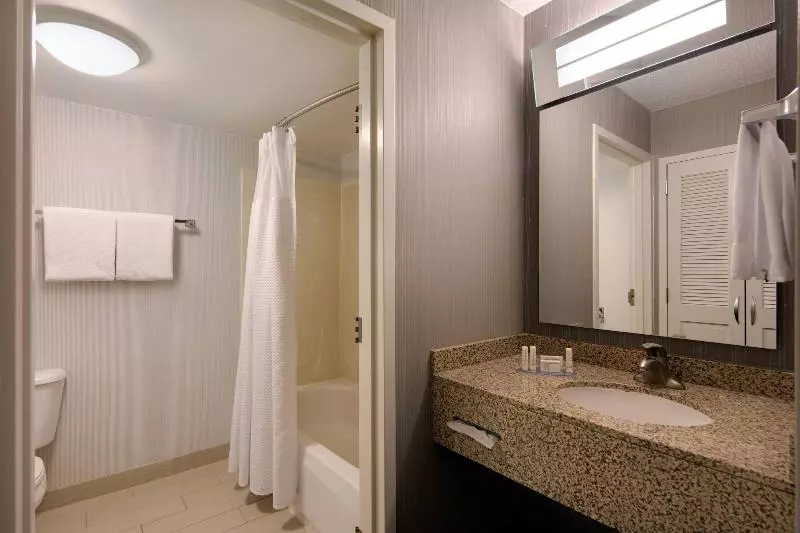 سوئیت با تخت بزرگ, Courtyard Grand Rapids Airport