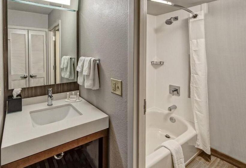 Standard Værelse Tilpasset til Handicappede, Courtyard By Marriott Nashville Vanderbilt West End