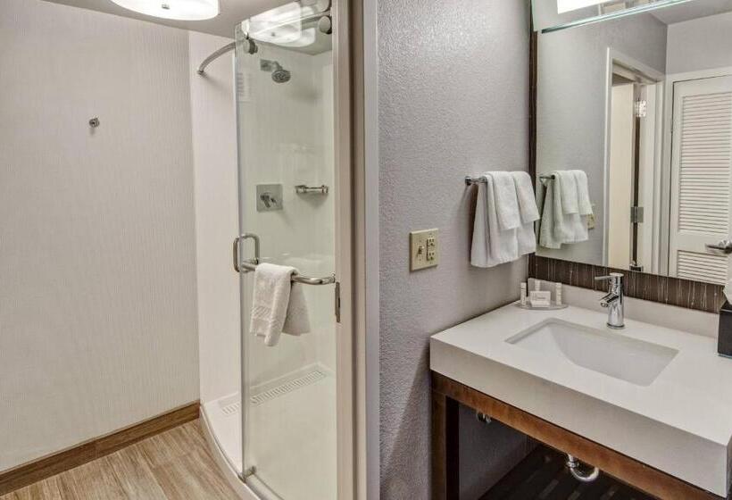 اتاق استاندارد با تخت بزرگ برای معلولان, Courtyard By Marriott Nashville Vanderbilt West End