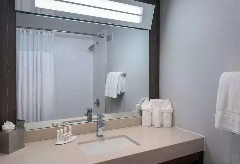 ２ダブルベッドのスタンダードルーム, Courtyard By Marriott Newburgh Stewart Airport