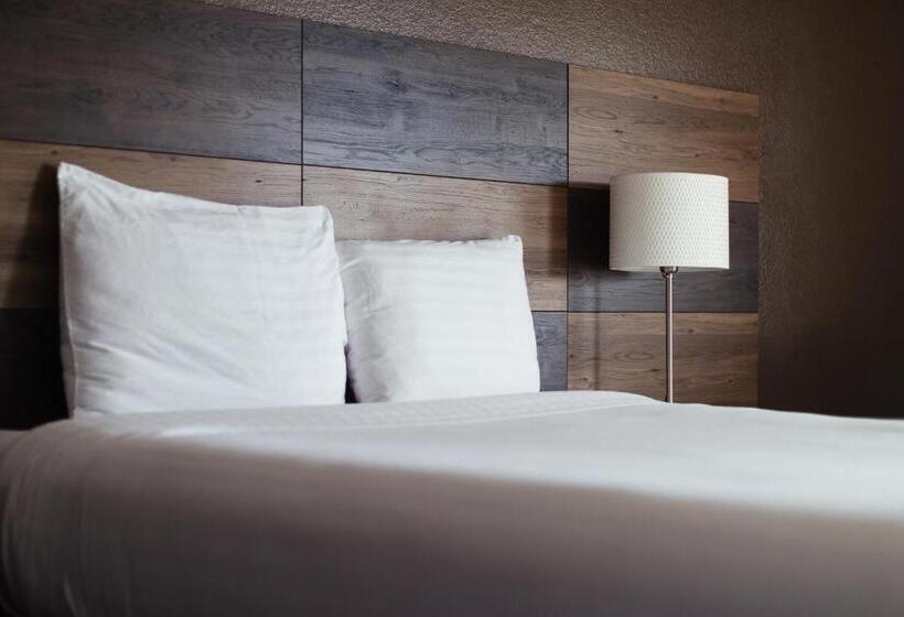 غرفة قياسية, Cozy Inn