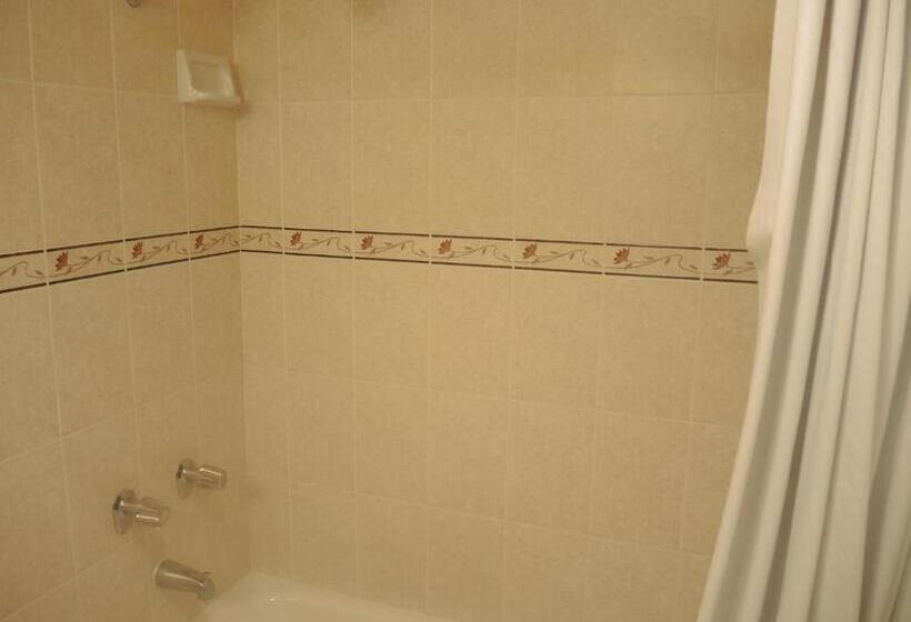 غرفة قياسية سرير كينج, Cozy Inn