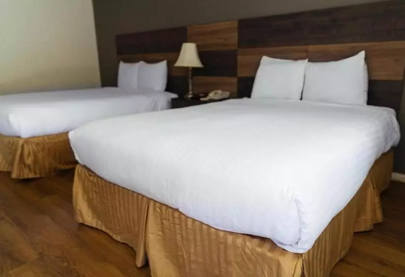 身障者適用スタンダードルーム, Cozy Inn