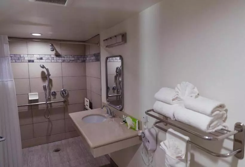 身障者適用スタンダードルーム, Cozy Inn