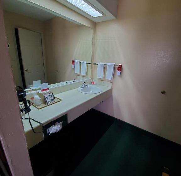 스탠다드 룸 더블 침대 2개, Econolodge Junction