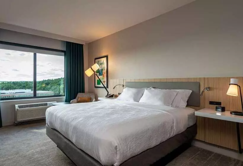 اتاق استاندارد با تخت بزرگ, Hilton Boston/ Woburn