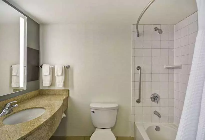 اتاق استاندارد با تخت بزرگ, Hilton Boston/ Woburn