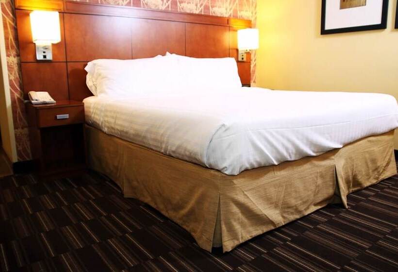 标准间, Holiday Inn Express Tifton, An Ihg