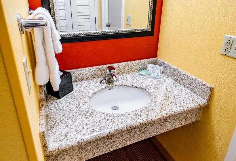 이그제큐티브 룸 킹사이즈 침대, Iowa Inn Bettendorf Quad Cities