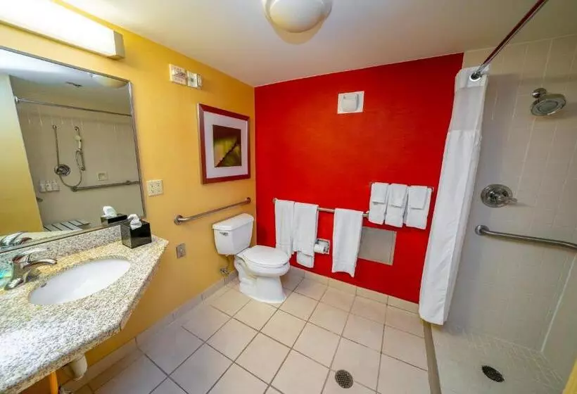 身障者適用キングサイズベッドルーム, Iowa Inn Bettendorf Quad Cities