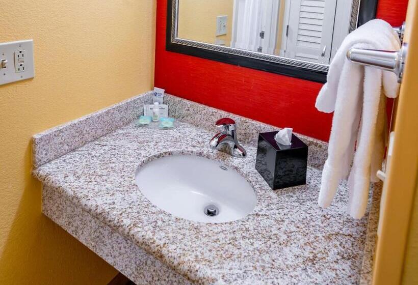 스탠다드 룸 킹사이즈 침대, Iowa Inn Bettendorf Quad Cities