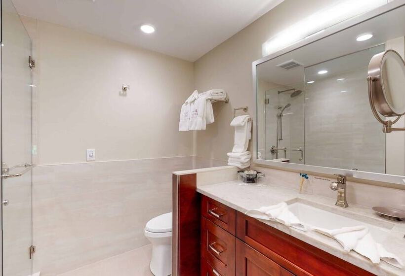 침실 1개 디럭스 아파트, The Charter At Beaver Creek F425