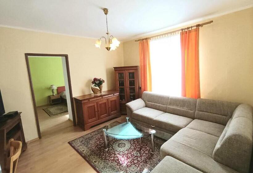 آپارتمان 1 خوابه, šd Němcovej 1