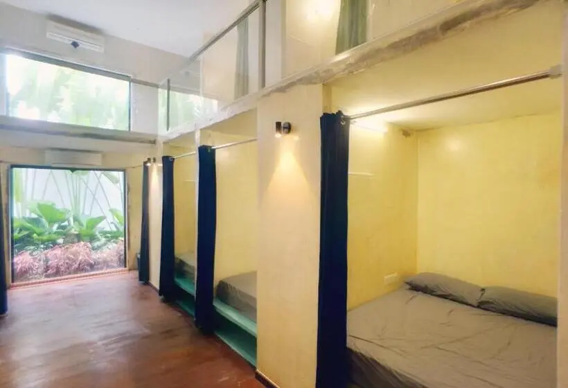 ガーデンビューのスタンダードバンガロー, Beds In Garden Hostel