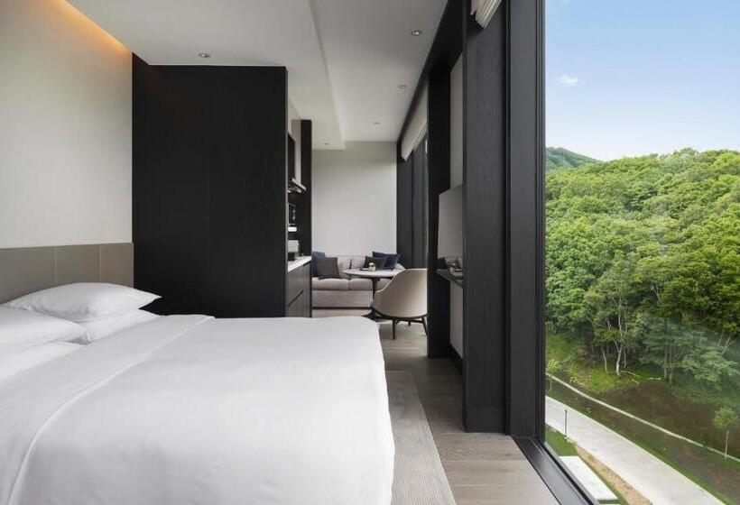 استودیو استاندارد با تخت کینگ, Park Hyatt Niseko Hanazono