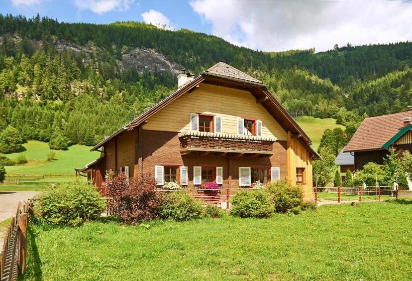 غرفة قياسية فردية, Blasiwirt