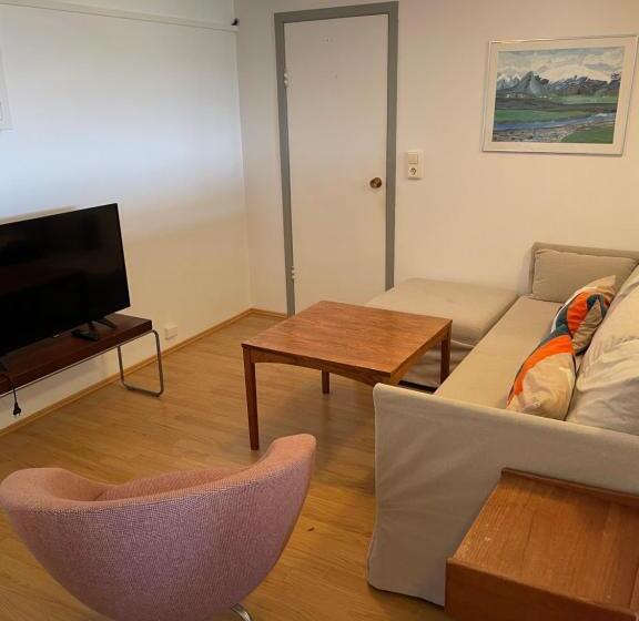 آپارتمان 1 خوابه با چشمانداز دریا, Steinhúsið