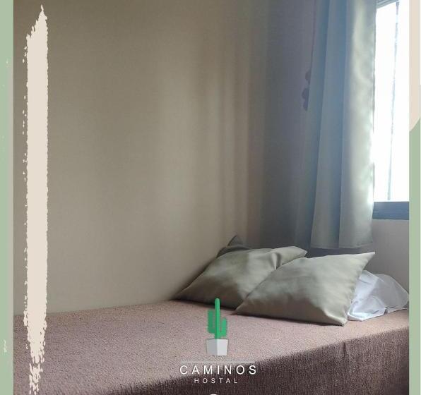 스탠다드 룸, Caminos Hostal