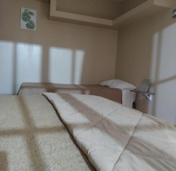 컴포트 트리플 룸, Caminos Hostal