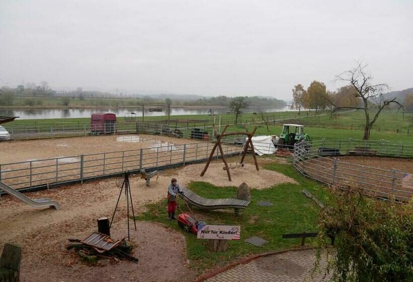 غرفة قياسية مزوَّدة بشُرفة, Western Inn