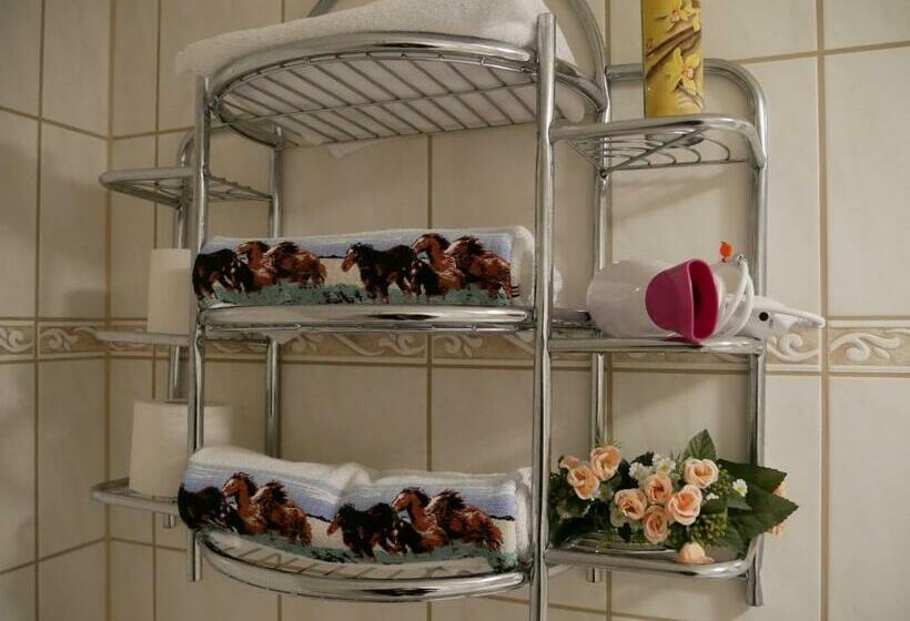 غرفة قياسية, Western Inn