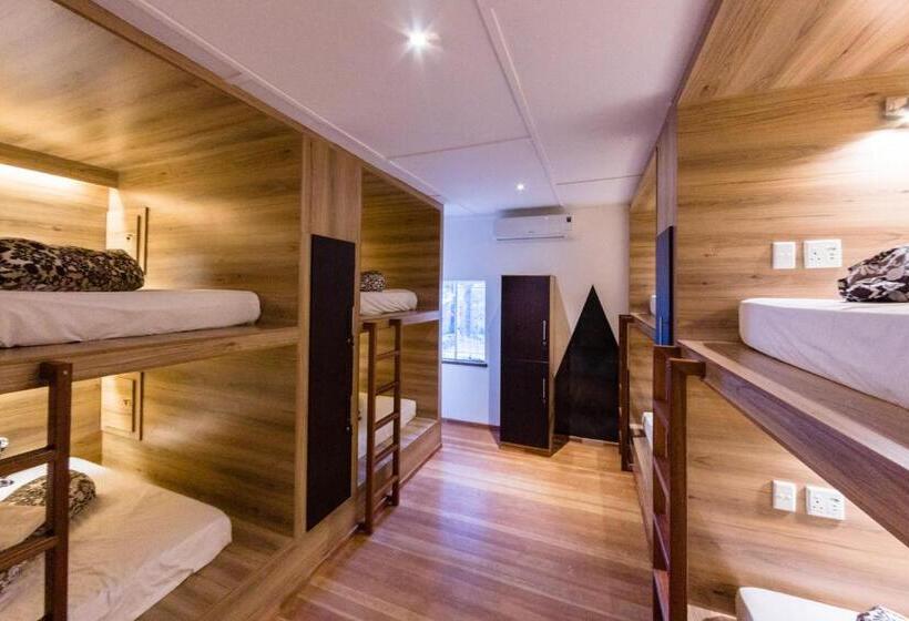 تختخواب در اتاق مشترک, Back2roots Backpackers