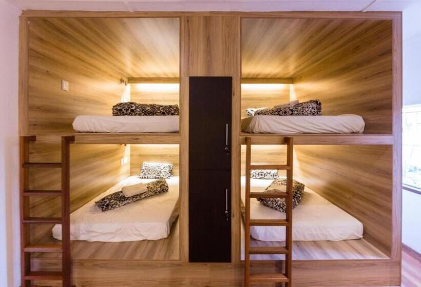 تختخواب در اتاق مشترک, Back2roots Backpackers