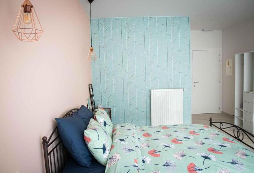 豪华房间, Barbos