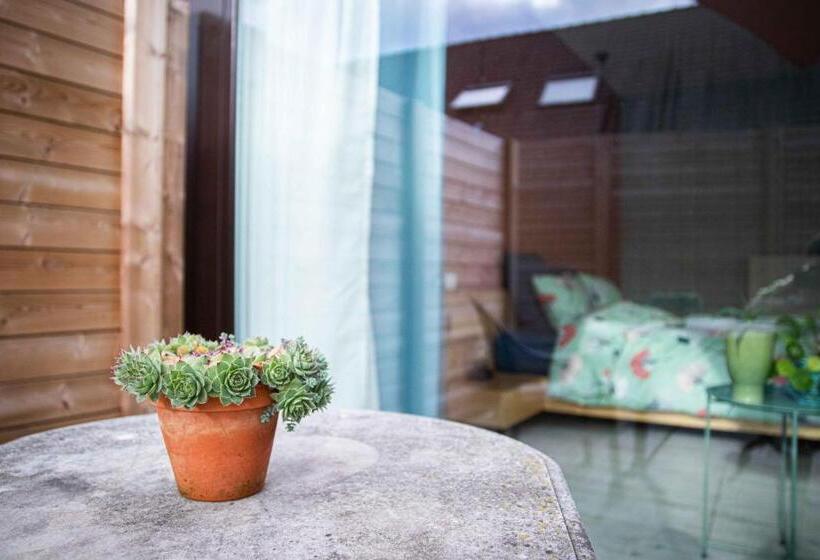 豪华房间, Barbos