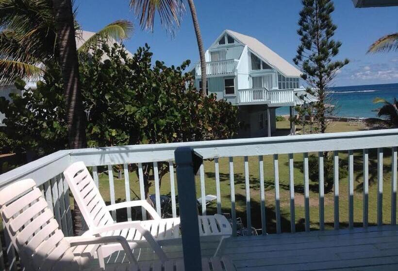 Villa 2 Chambres Vue Mer, Sealofts On The Beach
