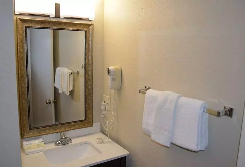 اتاق استاندارد با 2 تخت دوبل, Baymont By Wyndham Downtown Detroit