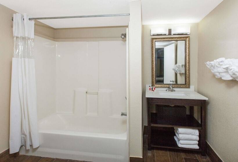 스위트, Baymont By Wyndham Downtown Detroit