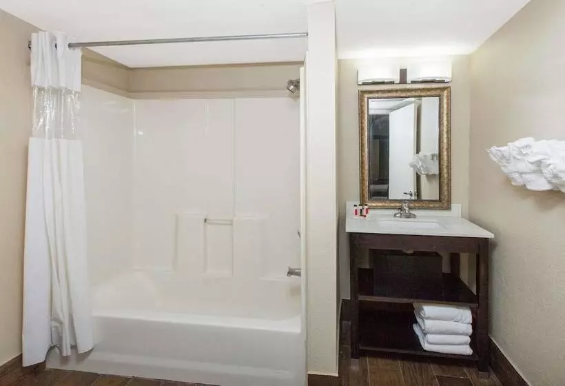سوییت, Baymont By Wyndham Downtown Detroit