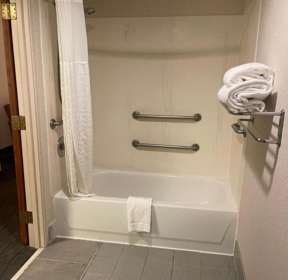 带大床的标准间, Days Inn & Suites By Wyndham Denver International Airport