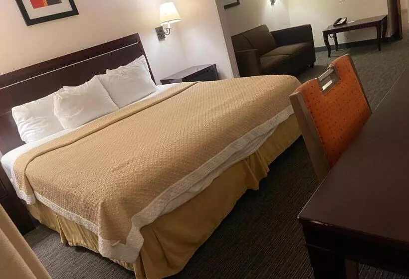 キングサイズベッドのスタンダードルーム, Days Inn & Suites By Wyndham Denver International Airport