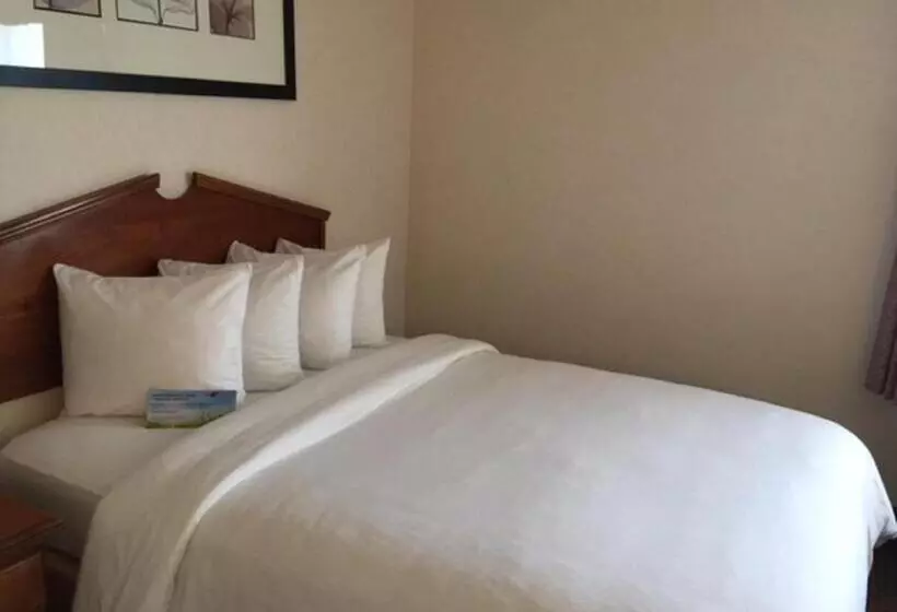 キングサイドベッドのスタンダードワンルーム, Days Inn & Suites By Wyndham Denver International Airport