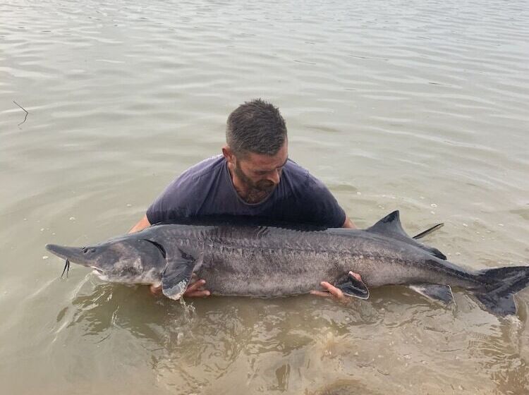 דירת קומפורט חדר שינה 1, Lakeside Fishing Lodges