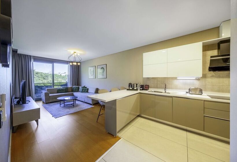 1 Bedroom Apartment, Radisson Residences, Vadistanbul