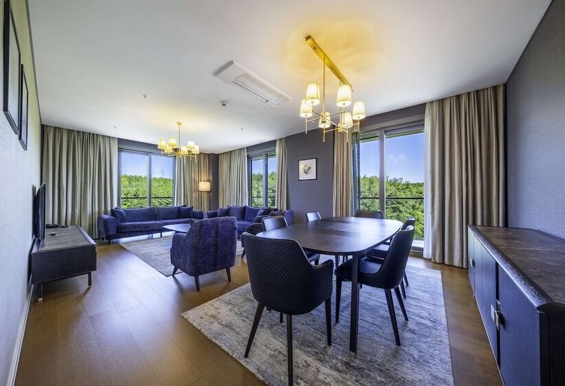 Penthouse Room, Radisson Residences, Vadistanbul