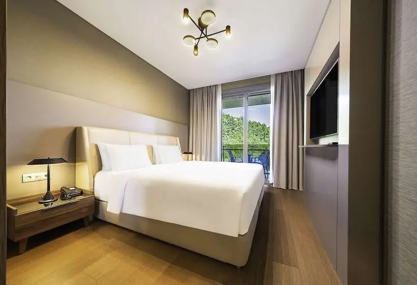 1 Bedroom Apartment, Radisson Residences, Vadistanbul