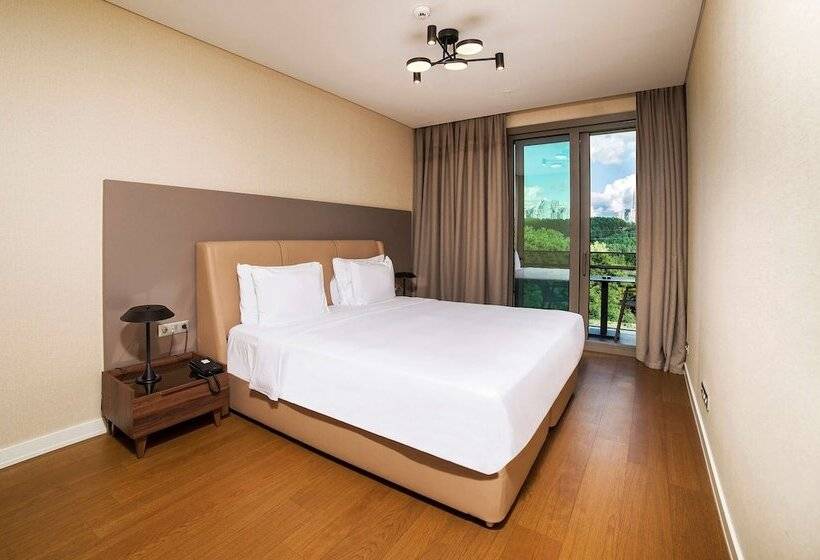 Penthouse Room, Radisson Residences, Vadistanbul