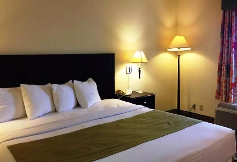 اتاق استاندارد, Days Inn By Wyndham Irving Grapevine Dfw Airport North