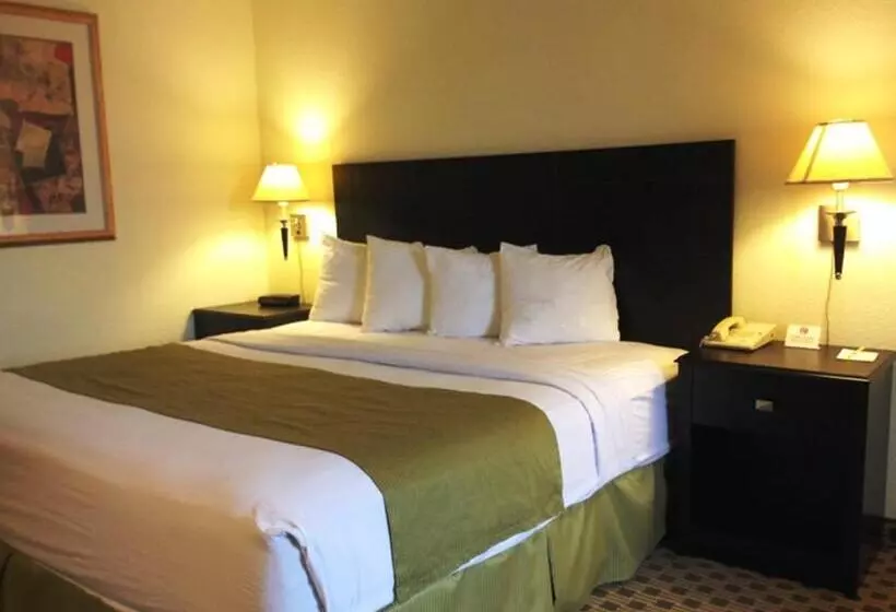 اتاق استاندارد برای معلولان, Days Inn By Wyndham Irving Grapevine Dfw Airport North