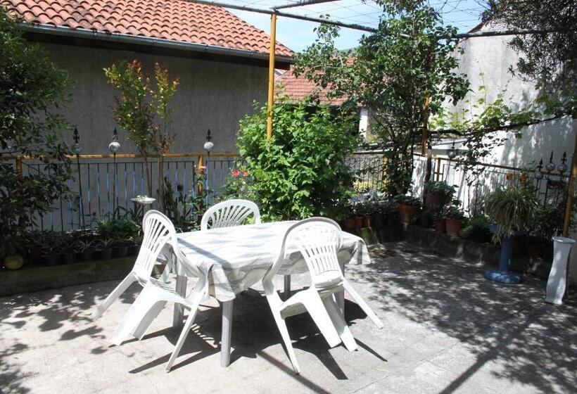 اتاق اکونومی, Hostel  Sema