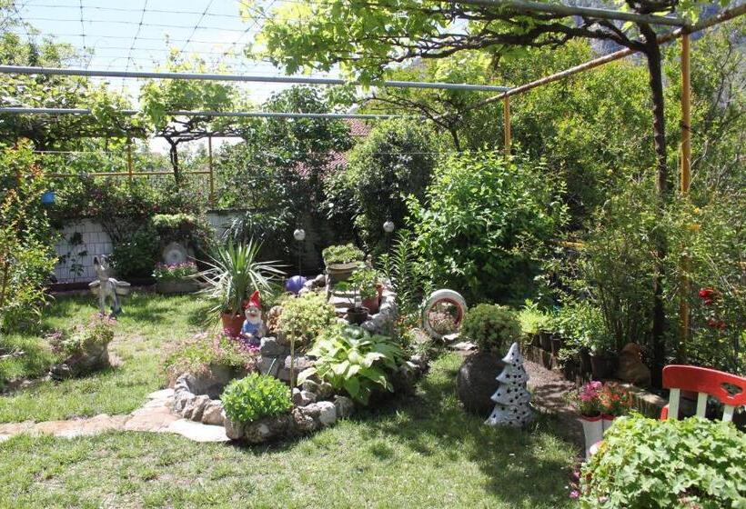 اتاق اکونومی, Hostel  Sema