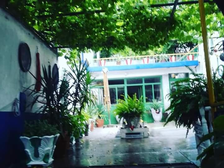 اتاق اکونومی, Hostel  Sema