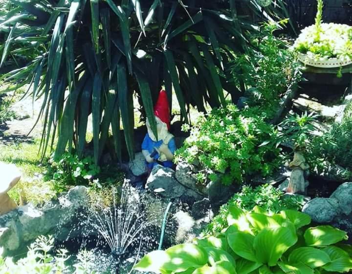 اتاق استاندارد با سرویس بهداشتی مشترک, Hostel  Sema